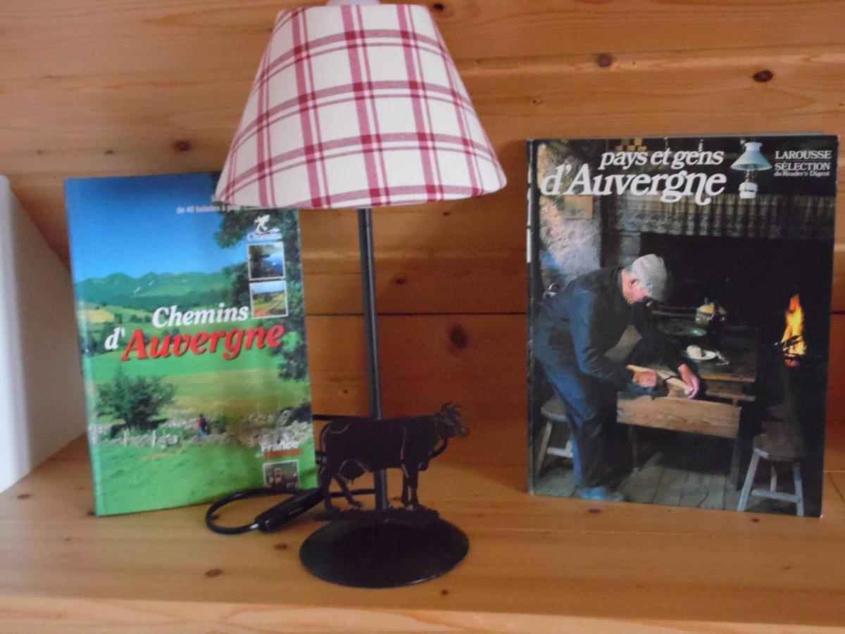 Chalet Des Clarines Saint-Genès-Champespe エクステリア 写真